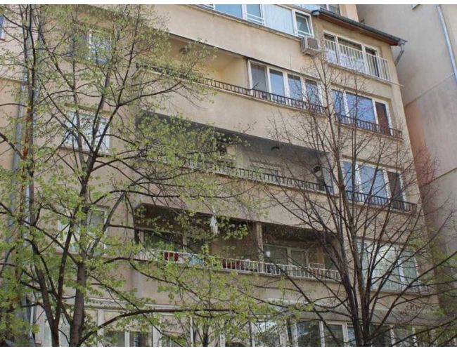 БОРОВО СОЛУН 49